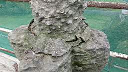 stcronans 1300.jpg